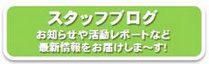 スタッフブログ